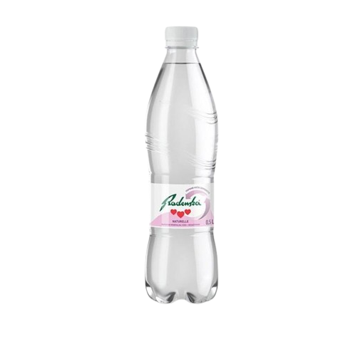 Radenska natürliches stilles Wasser 500ml PET DPG